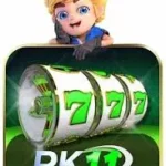 PK11 Game
